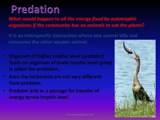 • Organism of higher trophic level (predator)
feeds on organism of lower trophic level (prey)
is called the predation.
• Even the herbivores are not very different
from predator.
• Predator acts as a passage for transfer of
energy across trophic level.
What would happen to all the energy fixed by autotrophic
organisms if the community has no animals to eat the plants?
It is an Interspecific Interaction where one animal kills and
consumes the other weaker animal.
muralishingri@gmail.com
 