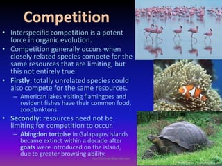 • Interspecific competition is a potent
force in organic evolution.
• Competition generally occurs when
closely related species compete for the
same resources that are limiting, but
this not entirely true:
• Firstly: totally unrelated species could
also compete for the same resources.
– American lakes visiting flamingoes and
resident fishes have their common food,
zooplanktons
• Secondly: resources need not be
limiting for competition to occur.
– Abingdon tortoise in Galapagos Islands
became extinct within a decade after
goats were introduced on the island,
due to greater browsing ability.
muralishingri@gmail.com
 
