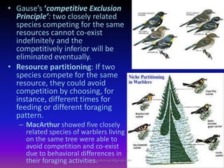 • Gause’s ‘competitive Exclusion
Principle’: two closely related
species competing for the same
resources cannot co-exist
indefinitely and the
competitively inferior will be
eliminated eventually.
• Resource partitioning: If two
species compete for the same
resource, they could avoid
competition by choosing, for
instance, different times for
feeding or different foraging
pattern.
– MacArthur showed five closely
related species of warblers living
on the same tree were able to
avoid competition and co-exist
due to behavioral differences in
their foraging activities.
muralishingri@gmail.com
 