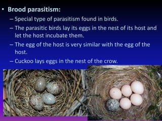 • Brood parasitism:
– Special type of parasitism found in birds.
– The parasitic birds lay its eggs in the nest of its host and
let the host incubate them.
– The egg of the host is very similar with the egg of the
host.
– Cuckoo lays eggs in the nest of the crow.
muralishingri@gmail.com
 