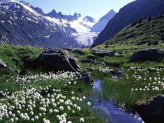 muralishingri@gmail.com
 