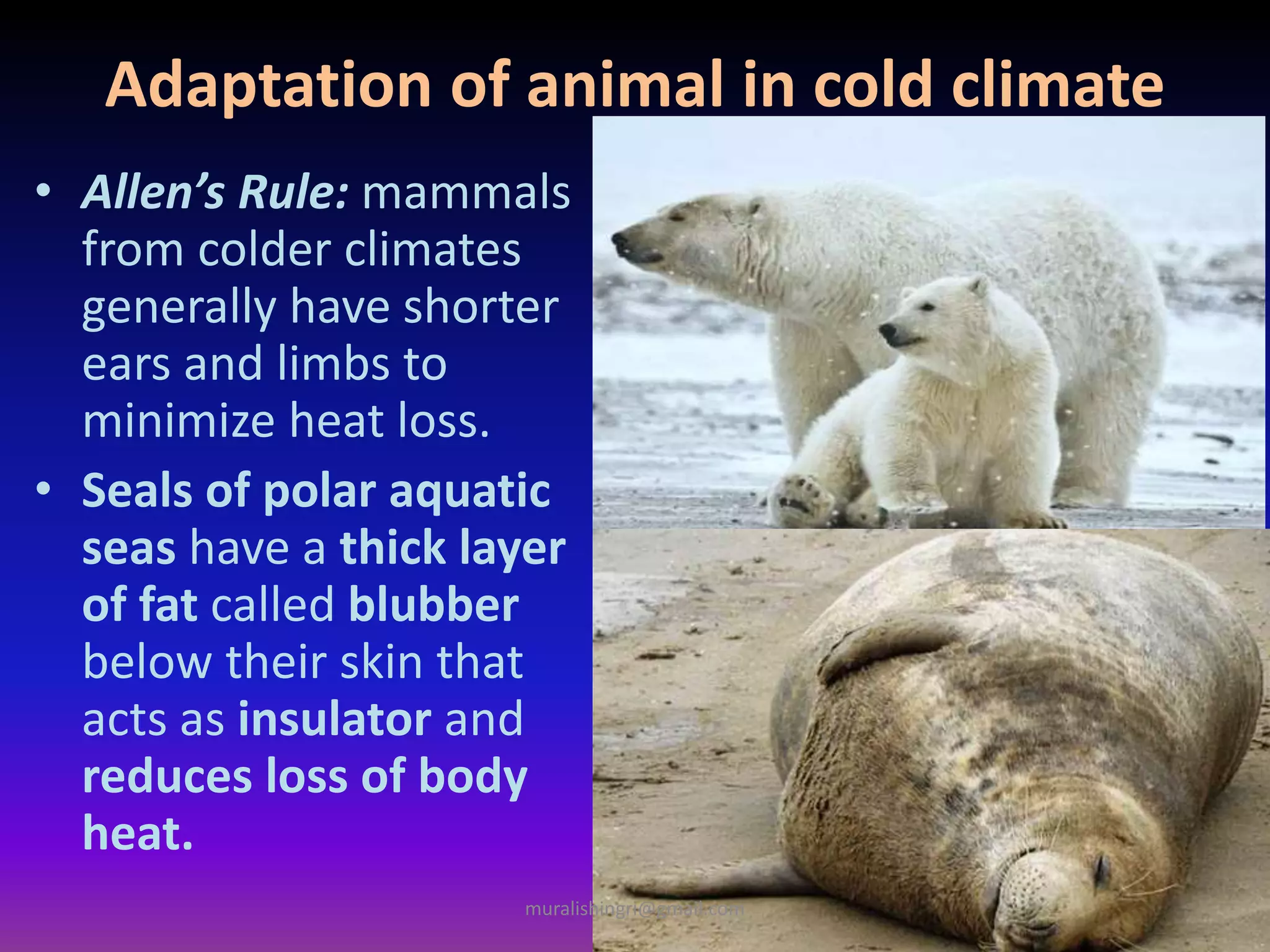 Adaptation of animal in cold climate
• Allen’s Rule: mammals
from colder climates
generally have shorter
ears and limbs to
minimize heat loss.
• Seals of polar aquatic
seas have a thick layer
of fat called blubber
below their skin that
acts as insulator and
reduces loss of body
heat.
muralishingri@gmail.com
 