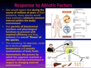 Response to Abiotic Factors
• One would expect that during the
course of millions of years of their
existence, many species would
have evolved a relatively constant
internal (within the body)
environment
• that permits all biochemical
reactions and physiological
functions to proceed with
maximal efficiency and thus,
enhance the overall ‘fitness’ of
the species.
• This constancy, for example, could
be in terms of optimal
temperature and osmotic
concentration of body fluids.
• Homeostasis; the process by
which the organism maintain a
constant internal environment in
respect to changing external
environment. muralishingri@gmail.com
 