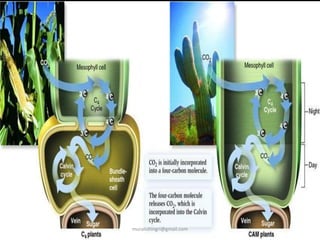 muralishingri@gmail.com
 