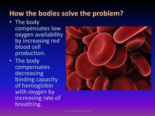• The body
compensates low
oxygen availability
by increasing red
blood cell
production.
• The body
compensates
decreasing
binding capacity
of hemoglobin
with oxygen by
increasing rate of
breathing.
How the bodies solve the problem?
muralishingri@gmail.com
 
