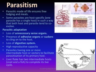• Parasitic mode of life ensures free
lodging and meals.
• Some parasites are host-specific (one
parasite has a single host) in such a way
that both host and parasite tend to co-
evolve.
Parasitic adaptation
• Loss of unnecessary sense organs.
• Presence of adhesive organs or suckers
to cling on to the host.
• Loss of digestive system.
• High reproductive capacity
• Parasites having one or more
intermediate host or vectors to facilitate
parasitisation of its primary host.
• Liver fluke has two intermediate hosts
(snail and a fish) to complete its live
cycle.
muralishingri@gmail.com
 