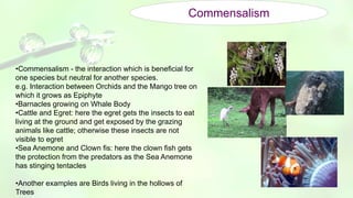 Organisms and populations | PPTX