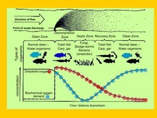 Direction of flow


Point of waste discharge
                                      Decomposition
                     Clean Zone           Zone      Septic Zone Recovery Zone       Clean Zone

                                                         Fungi,
                  Normal clean –        Trash fish                   Trash fish   Normal clean –
                                                     Sludge worms
organisms




                  Water organisms       Carp, gar                    Carp, gar    Water organisms
Types of




                                                        Bacteria
                                                      (anaerobic)




                 Dissolved oxygen
 concentration




                 Biochemical oxygen
                      demand


                                                 Time / distance downstream
 