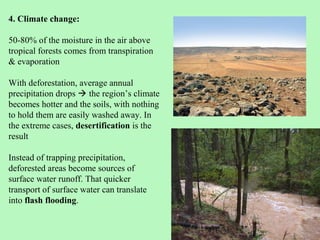 4. Climate change:

50-80% of the moisture in the air above
tropical forests comes from transpiration
& evaporation

With deforestation, average annual
precipitation drops  the region’s climate
becomes hotter and the soils, with nothing
to hold them are easily washed away. In
the extreme cases, desertification is the
result

Instead of trapping precipitation,
deforested areas become sources of
surface water runoff. That quicker
transport of surface water can translate
into flash flooding.
 