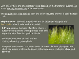 Both energy flow and chemical recycling depend on the transfer of substances
in the feeding relationships of an ecosystem.

The sequence of food transfer from one trophic level to another is called a food
chain

Trophic levels: describe the position that an organism occupies in a
food chain - what it eats, and what eats it.
 1. Producers: at the base of all food chains –
 autotrophic organisms which produce their own
 organic matter from inorganic nutrients

 The main producers on land are the
 photosynthesising green plants

 In aquatic ecosystems, producers could be water plants or phytoplankton,
 which comprises photosynthetic one-celled organisms, including algae and
 bacteria
 