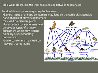 Diversity & Evolution - Organisms and their environment | PPT