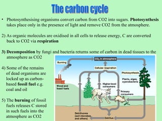 Diversity & Evolution - Organisms and their environment | PPT