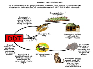 Diversity & Evolution - Organisms and their environment | PPT