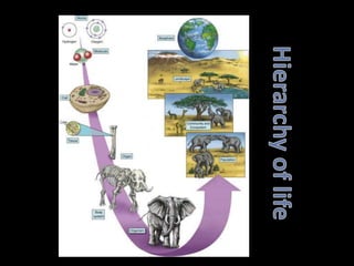 Organisms and their environment