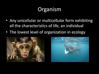 Organism 
• Any unicellular or multicellular form exhibiting 
all the characteristics of life, an individual 
• The lowest level of organization in ecology 
 