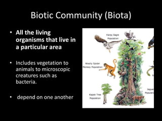 Biotic Community (Biota) 
• All the living 
organisms that live in 
a particular area 
• Includes vegetation to 
animals to microscopic 
creatures such as 
bacteria. 
• depend on one another 
 