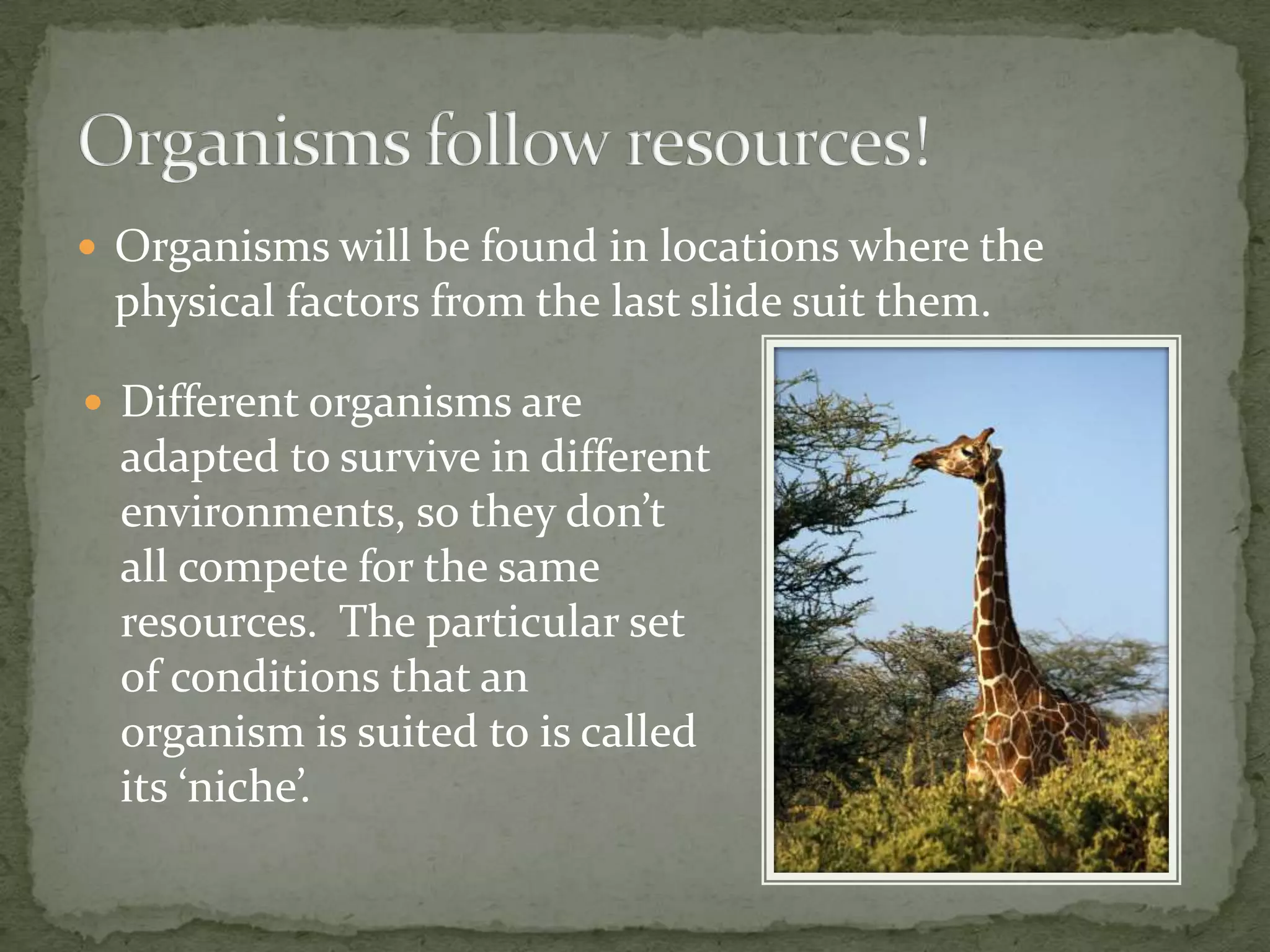  Organisms will be found in locations where the
 physical factors from the last slide suit them.

 Different organisms are
  adapted to survive in different
  environments, so they don’t
  all compete for the same
  resources. The particular set
  of conditions that an
  organism is suited to is called
  its ‘niche’.
 