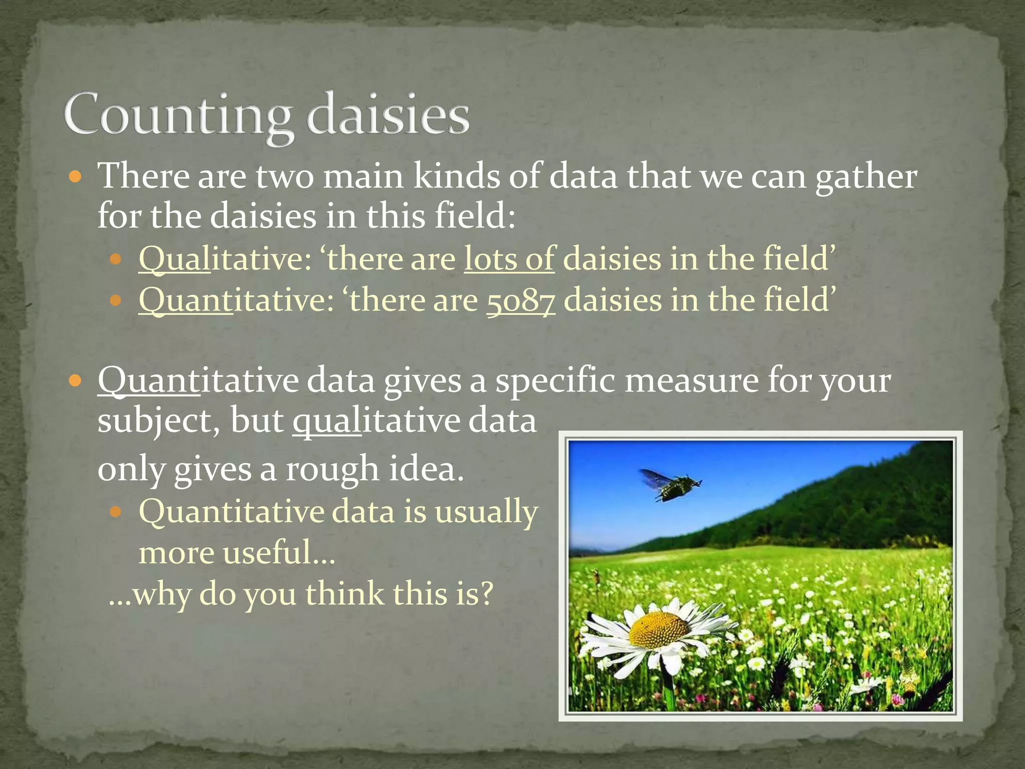  There are two main kinds of data that we can gather
 for the daisies in this field:
   Qualitative: ‘there are lots of daisies in the field’
   Quantitative: ‘there are 5087 daisies in the field’

 Quantitative data gives a specific measure for your
 subject, but qualitative data
 only gives a rough idea.
   Quantitative data is usually
   more useful…
  …why do you think this is?
 