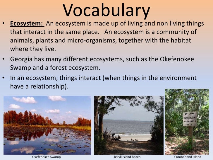What do you call a community of organisms and their nonliving environment?