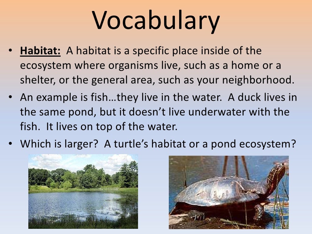 Organisms and Their Habitats