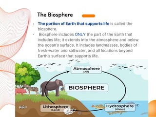 Organisms and their relationships.pptx