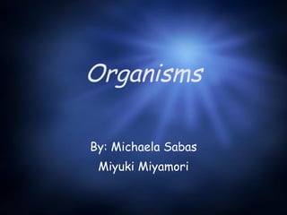 Organisms By: Michaela Sabas Miyuki Miyamori 