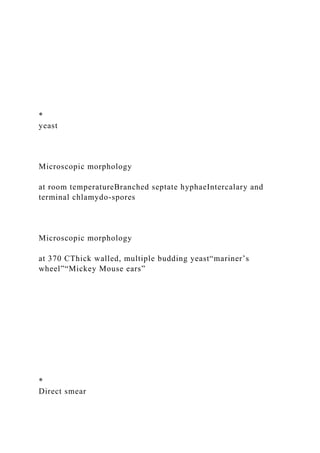 *
yeast
Microscopic morphology
at room temperatureBranched septate hyphaeIntercalary and
terminal chlamydo-spores
Microscopic morphology
at 370 CThick walled, multiple budding yeast“mariner’s
wheel”“Mickey Mouse ears”
*
Direct smear
 