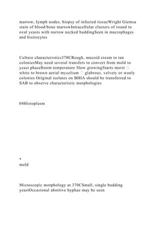 marrow, lymph nodes, biopsy of infected tissueWright Giemsa
stain of blood/bone marrowIntracellular clusters of round to
oval yeasts with narrow necked buddingSeen in macrophages
and histiocytes
Culture characteristics370CRough, mucoid cream to tan
coloniesMay need several transfers to convert from mold to
yeast phase
colonies Original isolates on BHIA should be transferred to
SAB to observe characteristic morphologies
04Histoplasm
*
mold
Microscopic morphology at 370CSmall, single budding
yeastOccasional abortive hyphae may be seen
 