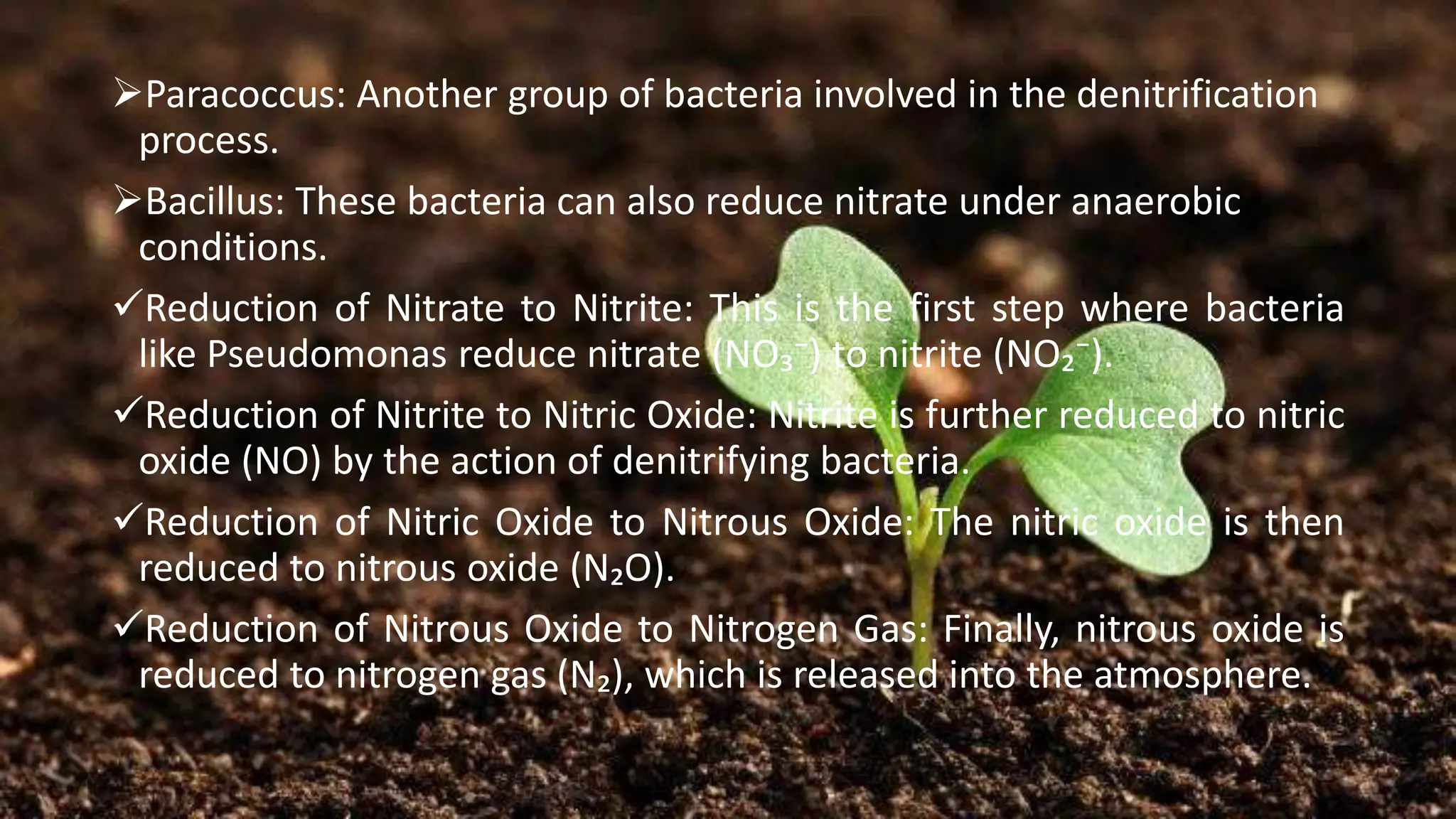 ➢Paracoccus: Another group of bacteria involved in the denitrification
process.
➢Bacillus: These bacteria can also reduce nitrate under anaerobic
conditions.
✓Reduction of Nitrate to Nitrite: This is the first step where bacteria
like Pseudomonas reduce nitrate (NO₃⁻) to nitrite (NO₂⁻).
✓Reduction of Nitrite to Nitric Oxide: Nitrite is further reduced to nitric
oxide (NO) by the action of denitrifying bacteria.
✓Reduction of Nitric Oxide to Nitrous Oxide: The nitric oxide is then
reduced to nitrous oxide (N₂O).
✓Reduction of Nitrous Oxide to Nitrogen Gas: Finally, nitrous oxide is
reduced to nitrogen gas (N₂), which is released into the atmosphere.
 