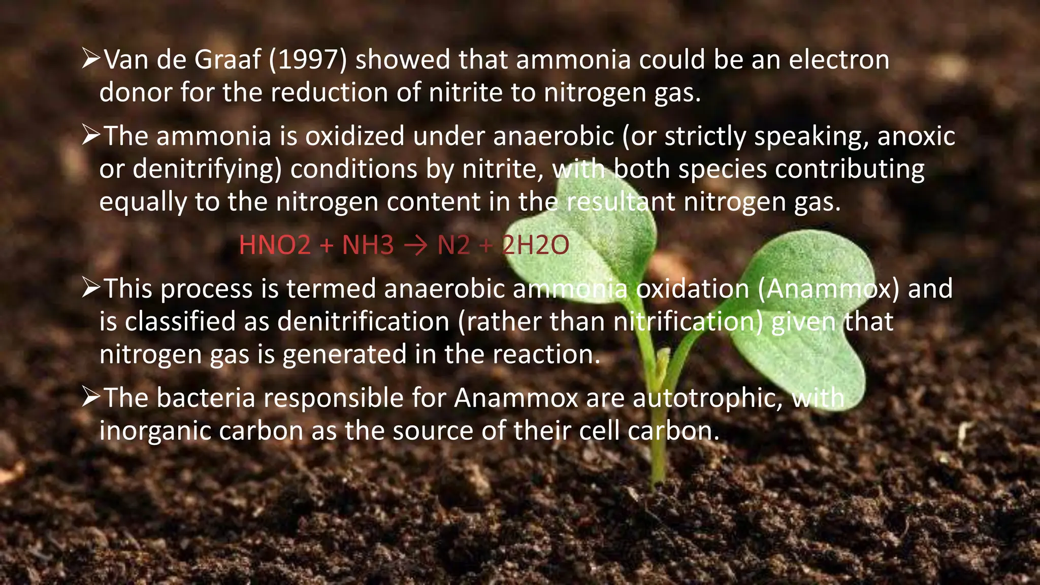 ➢Van de Graaf (1997) showed that ammonia could be an electron
donor for the reduction of nitrite to nitrogen gas.
➢The ammonia is oxidized under anaerobic (or strictly speaking, anoxic
or denitrifying) conditions by nitrite, with both species contributing
equally to the nitrogen content in the resultant nitrogen gas.
HNO2 + NH3 → N2 + 2H2O
➢This process is termed anaerobic ammonia oxidation (Anammox) and
is classified as denitrification (rather than nitrification) given that
nitrogen gas is generated in the reaction.
➢The bacteria responsible for Anammox are autotrophic, with
inorganic carbon as the source of their cell carbon.
 