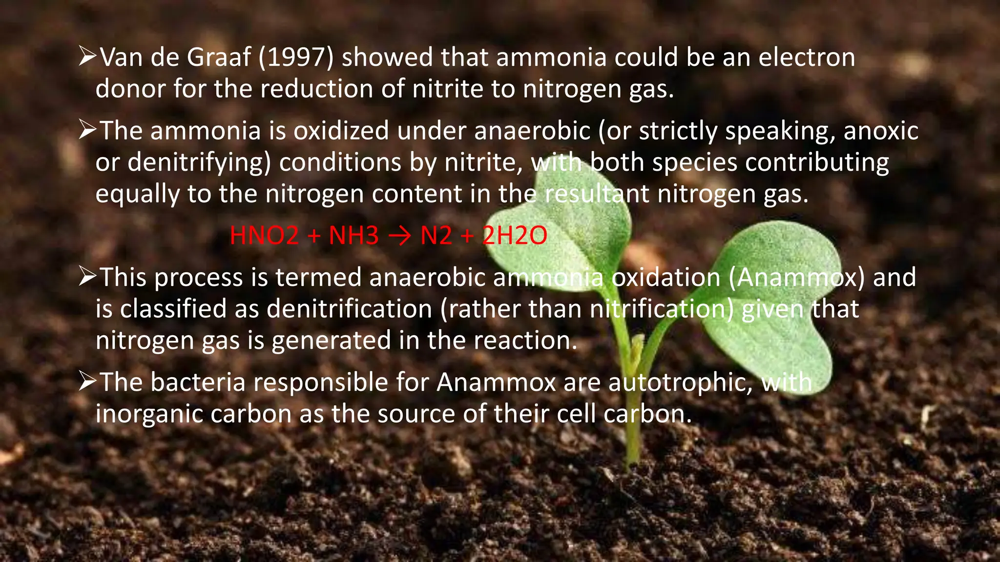 ➢Van de Graaf (1997) showed that ammonia could be an electron
donor for the reduction of nitrite to nitrogen gas.
➢The ammonia is oxidized under anaerobic (or strictly speaking, anoxic
or denitrifying) conditions by nitrite, with both species contributing
equally to the nitrogen content in the resultant nitrogen gas.
HNO2 + NH3 → N2 + 2H2O
➢This process is termed anaerobic ammonia oxidation (Anammox) and
is classified as denitrification (rather than nitrification) given that
nitrogen gas is generated in the reaction.
➢The bacteria responsible for Anammox are autotrophic, with
inorganic carbon as the source of their cell carbon.
 