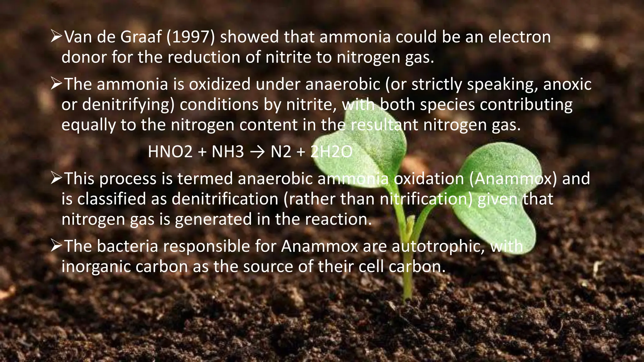 ➢Van de Graaf (1997) showed that ammonia could be an electron
donor for the reduction of nitrite to nitrogen gas.
➢The ammonia is oxidized under anaerobic (or strictly speaking, anoxic
or denitrifying) conditions by nitrite, with both species contributing
equally to the nitrogen content in the resultant nitrogen gas.
HNO2 + NH3 → N2 + 2H2O
➢This process is termed anaerobic ammonia oxidation (Anammox) and
is classified as denitrification (rather than nitrification) given that
nitrogen gas is generated in the reaction.
➢The bacteria responsible for Anammox are autotrophic, with
inorganic carbon as the source of their cell carbon.
 