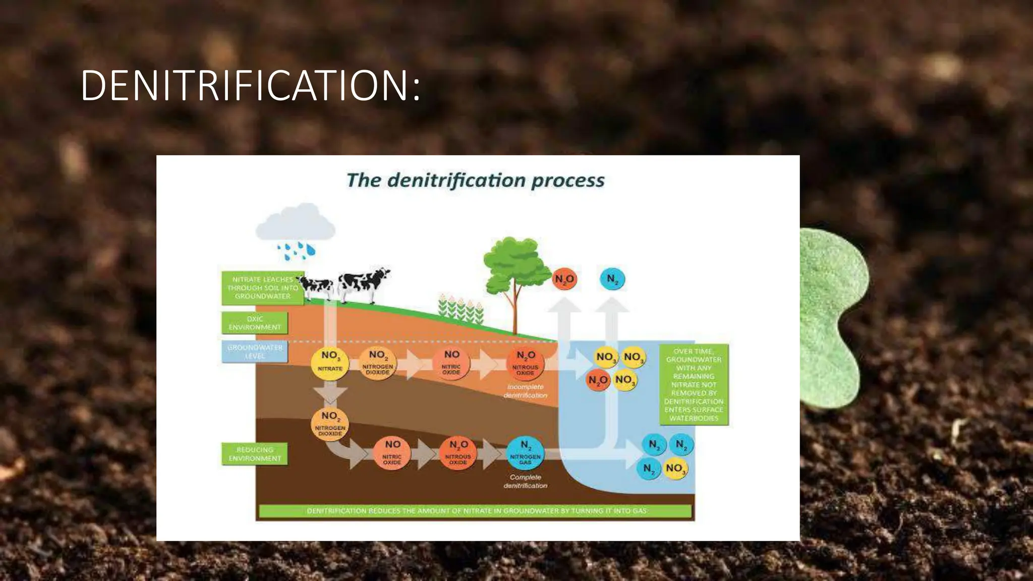 DENITRIFICATION:
 