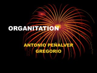 ORGANITATION ANTONIO PEÑALVER GREGORIO 