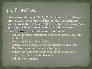  Estan formades per C, H, O, N i S. Estan constituïdes per la
unió de 20 tipus diferents d’amino{cids. Les proteïnes
poden presentar fins a 4 nivells estructurals, que originen 2
grans grups de proteïnes: globulars o filamentoses.
 Les funcions principals de les proteïnes són
 Són components estructurals de les membranes i orgànuls
cel·lulars
 Catatitzen les reaccions cel·lulars
 Actuen com a vehicle de transport d’algunes molècules
 Regulen i coordinen processos biològics
 Formen les fibres contràctils de les cèl·lules musculars
 Tenen acció defensora (anticossos)
 Subministren energia
 
