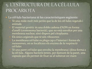  La cèl·lula bacteriana té les característiques següents:
 Té una mida molt més petita que la de les cèl·lules vegetals i
animals
 El material genètic és una doble cadena d’ADN en forma
d’anell (cromosoma bacterià), que no està envoltat per una
membrana nuclear, sinó dispers pel citoplasma
 Els únics orgànuls que té són ribosomes
 La membrana cel·lular es plega cap a l’interior i forma els
mesosomes, on es localitzen els enzims de la respiració
cel·lular.
 Té una paret cel·lular que envolta la membrana i dóna forma a
la cèl·lula. Alguns bacteris tenen, per damunt de la paret, una
càpsula que els permet de fixar-se al substrat on viuen
 