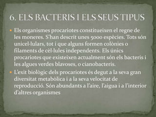  Els organismes procariotes constitueixen el regne de
les moneres. S’han descrit unes 5000 espècies. Tots són
unicel·lulars, tot i que alguns formen colònies o
filaments de cèl·lules independents. Els únics
procariotes que existeixen actualment són els bacteris i
les algues verdes blavoses, o cianobacteris.
 L’exit biològic dels procariotes és degut a la seva gran
diversitat metabòlica i a la seva velocitat de
reproducció. Són abundants a l’aire, l’aigua i a l’interior
d’altres organismes
 