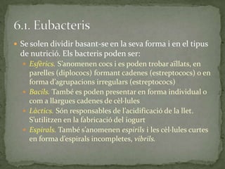  Se solen dividir basant-se en la seva forma i en el tipus
de nutrició. Els bacteris poden ser:
 Esfèrics. S’anomenen cocs i es poden trobar aïllats, en
parelles (diplococs) formant cadenes (estreptococs) o en
forma d’agrupacions irregulars (estreptococs)
 Bacils. També es poden presentar en forma individual o
com a llargues cadenes de cèl·lules
 Làctics. Són responsables de l’acidificació de la llet.
S’utilitzen en la fabricació del iogurt
 Espirals. També s’anomenen espirils i les cèl·lules curtes
en forma d’espirals incompletes, vibrils.
 