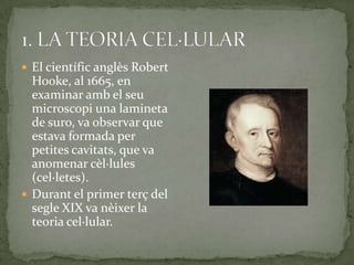  El científic anglès Robert
Hooke, al 1665, en
examinar amb el seu
microscopi una lamineta
de suro, va observar que
estava formada per
petites cavitats, que va
anomenar cèl·lules
(cel·letes).
 Durant el primer terç del
segle XIX va nèixer la
teoria cel·lular.
 