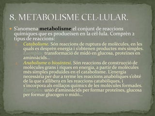  S’anomena metabolisme el conjunt de reaccions
químiques que es produeixen en la cèl·lula. Comprèn 2
tipus de reaccions:
1. Catabolisme. Són reaccions de ruptura de molècules, en les
quals es desprèn energia i s’obtenen productes més simples.
Exemples: transformació de midó en glucosa, proteïnes en
aminoàcids…
2. Anabolisme o biosíntesi. Són reaccions de construcció de
molècules grans i riques en energia, a partir de molècules
més simples produïdes en el catabolisme. L’energia
necessària per dur a terme les reaccions anabòliques s’obté
de la que s’allibera en les reaccions catabòliques, i
s’incorpora als enllaços químics de les molècules formades.
Exemples: unió d’amino{cids per formar proteïnes, glucosa
per formar glucogen o midó…
 
