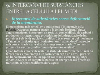1. Intercanvi de substàncies sense deformació
de la membrana.
El mecanisme més senzill en aquest tipus d’intercanvis és la
difusió. D’aquesta manera entren a la cèl·lula l’oxigen, l’aigua i
alguns nutrients, i s’excreten els residus, com el diòxid de carboni i
productes nitrogenats que procedeixen de la degradació de les
proteïnes i els àcids nucleics. La difusió és el resultat del moviment
a l’atzar de partícules que produeixen un flux net des d’una regió
més concentrada a una altra de menys concentrada. Com més
pronunciat sigui el gradient més ràpida serà la difusió.
Quan totes les molècules estan distribuïdes uniformement, n’hi ha
tantes que es mouen cap a un costat com cap a un altre, i per això
no hi ha moviment net. En aquest cas es diu estan en equilibri
dinàmic. Si es té en compte la necessitat energètica del procés de
transport, se’n poden diferenciar 2 tipus:
 