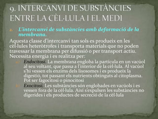 2. L’intercanvi de substàncies amb deformació de la
membrana.
Aquesta classe d’intercanvi tan sols es produeix en les
cèl·lules heteròtrofes i transporta materials que no poden
travessar la membrana per difussió o per transport actiu.
Necessita energia i es realitza per:
a) Endocitosi. La membrana engloba la partícula en un vacúol
al seu voltant, que passa a l’interior de la cèl·lula. Al vacúol
s’hi vessen els enzims dels lisosomes i es produeix la
digestió, tot passant els nutrients obtinguts al citoplasma.
Pot ser fagocitosi o pinocitosi
b) Exocitosi. Les substàncies són englobades en vacúols i es
vessen fora de la cèl·lula. Així s’expulsen les substàncies no
digerides i els productes de secreció de la cèl·lula
 