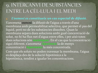 3. L’osmosi es constitueix un cas especial de difusió.
S’anomena osmosi la difusió de l’aigua a través d’una
membrana amb permeabilitat selectiva, que permet el pas del
líquid, però no de les substàncies dissoltes. Quan la
membrana separa dues solucions ambi gual concentració de
solut, no hi ha flux net d’aigua entre elles, i per això totes
dues solucions són isotòniques. En el cas que la concentració
sigui diferent, s’anomena hipotònica la de menys
concentració i hipertònica la més concentrada.
Com que els soluts no poden travessar la membrana, l’aigua
es desplaça des de la solució hipotònica a la
hipertònica, tendint a igualar les concentracions.
 