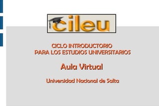 CICLO INTRODUCTORIO  PARA LOS ESTUDIOS UNIVERSITARIOS Aula Virtual  Universidad Nacional de Salta 
