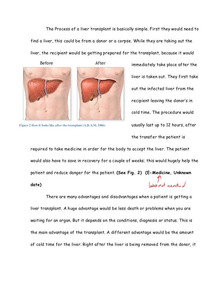 Essential oils thesis pdf picture 4
