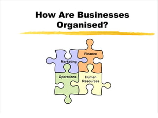 Organizzare un Business - 1. Organigramma e struttura aziendale