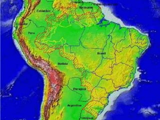 DA ORGANIZAÇÃO DO ESTADO 
 