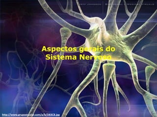 http://www.grupoescolar.com/a/b/D83C8.jpg
Aspectos gerais do
Sistema Nervoso
 