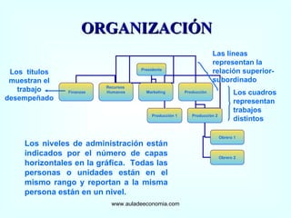 www.auladeeconomia.com ORGANIZACIÓN Los cuadros representan trabajos distintos Los  títulos muestran el trabajo desempeñado Las líneas representan la relación superior-subordinado Los niveles de administración están indicados por el número de capas horizontales en la gráfica.  Todas las personas o unidades están en el mismo rango y reportan a la misma persona están en un nivel. Presidente Finanzas Recursos  Humanos Marketing Producción Producción 1 Producción 2 Obrero 1 Obrero 2 