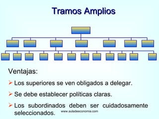 Tramos Amplios www.auladeeconomia.com Ventajas: Los superiores se ven obligados a delegar. Se debe establecer políticas claras. Los subordinados deben ser cuidadosamente seleccionados. 